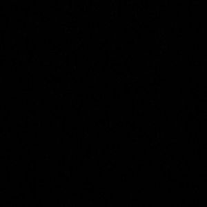 Meet your Posher, Francis